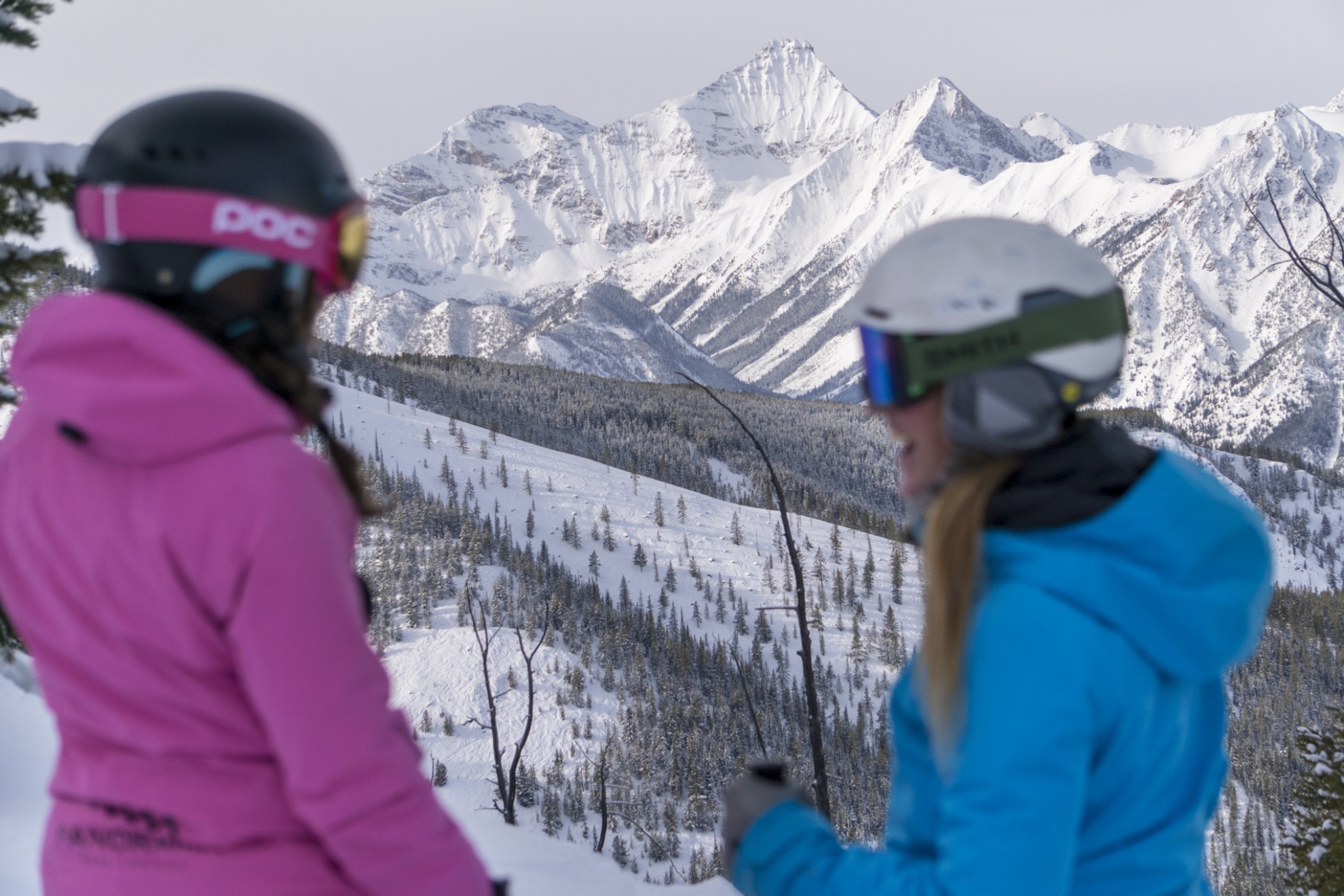 Picture of 2025/26 Parents Transferable Season Pass - Best Price Sale