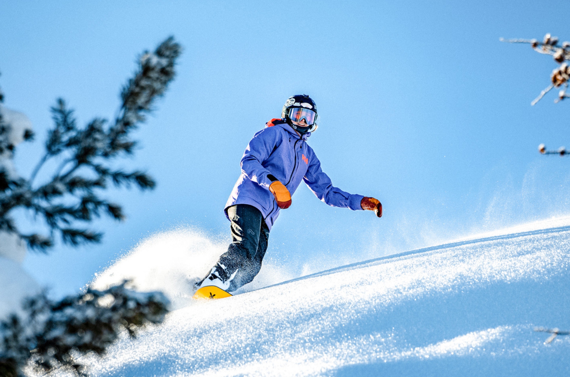 Alpine Season Pass