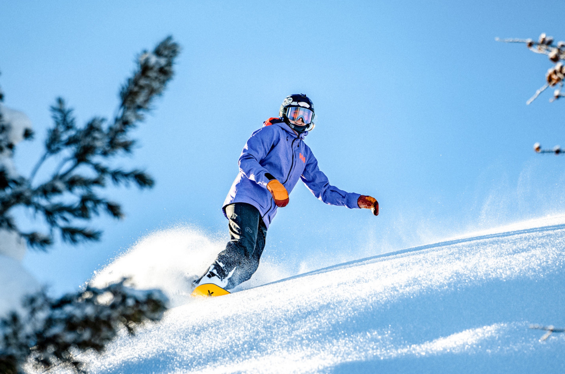 Picture of 2025/26 Unlimited Season Pass - Early Bird Sale