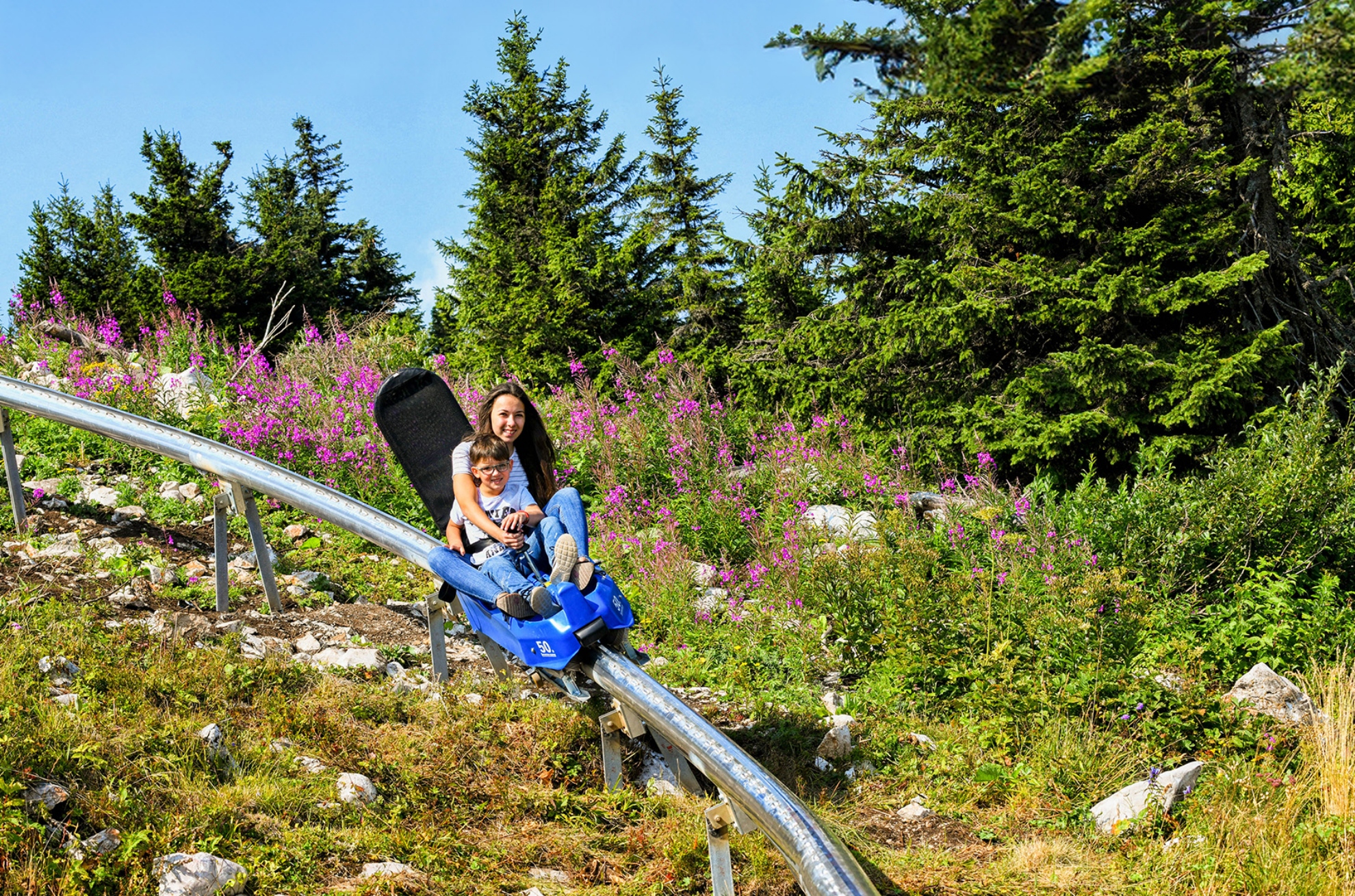 Picture of Wild Rider Mountain Coaster - Time Assignment